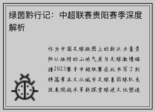 绿茵黔行记：中超联赛贵阳赛季深度解析